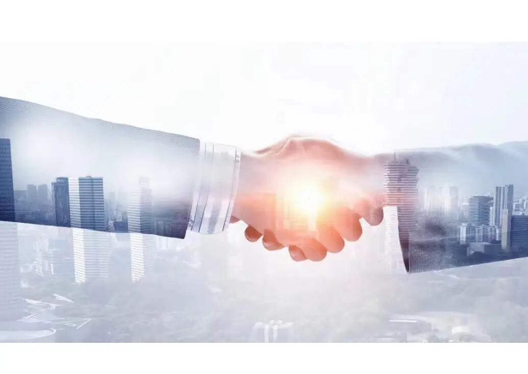 投降书规定了什么法律