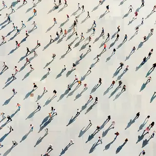 应援的法律性质包括什么